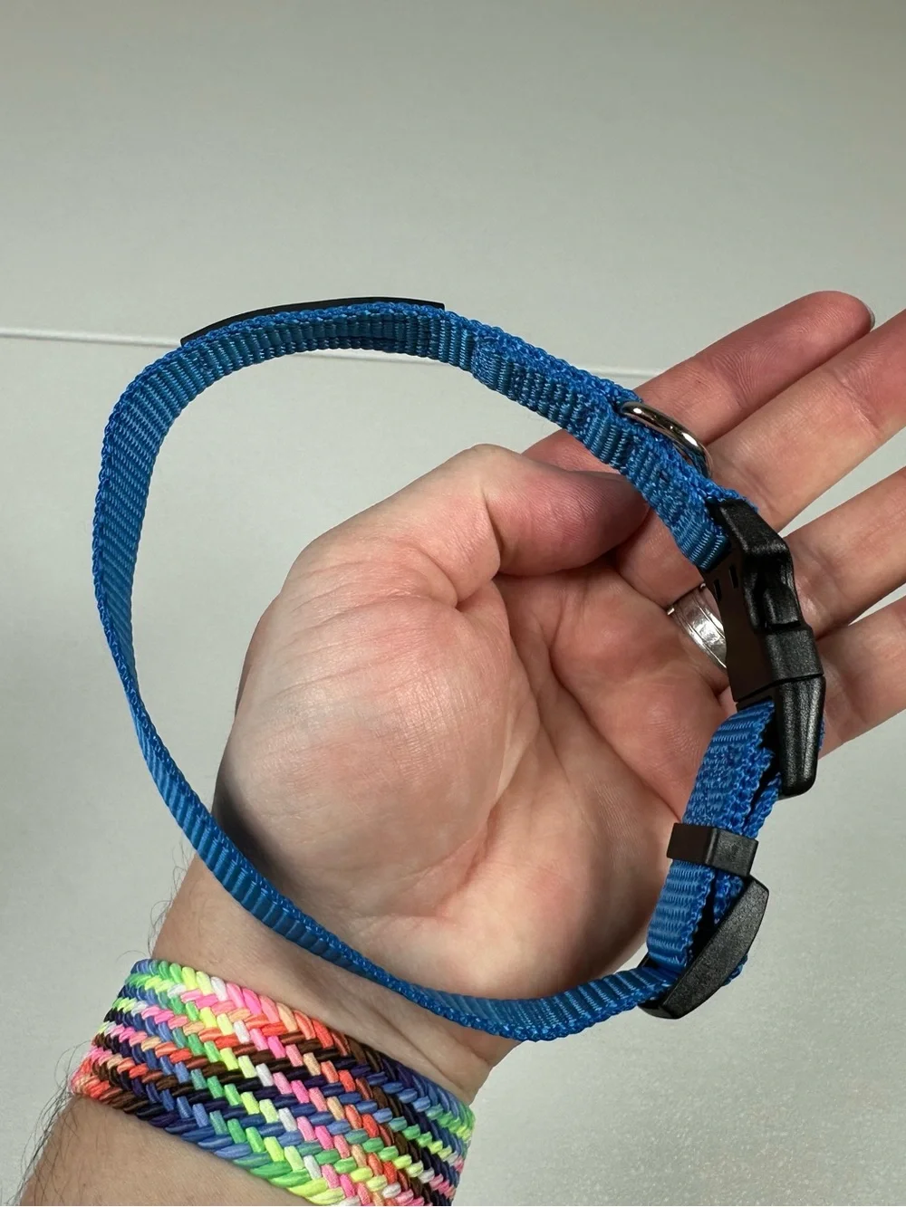 NEW Top Paw Adjustable Dog Collar